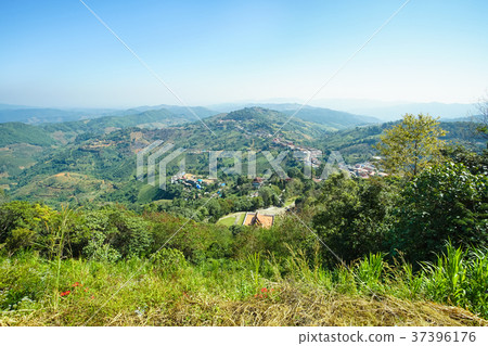Nature view mountain, forest and blue sky 37396176