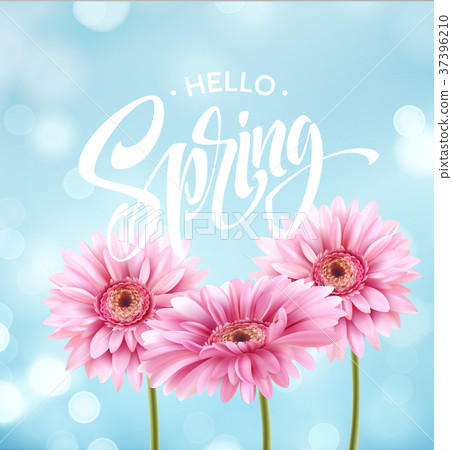Gerbera Flower Background and Hello Spring Gerbera Flower Background and Hello Spring 37396210