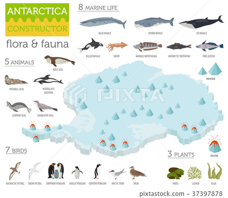 Antarctic, Antarctica,  flora and fauna map 37397878