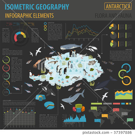 Isometric 3d Antarctica flora and fauna map Isometric 3d Antarctica flora and fauna map 37397886