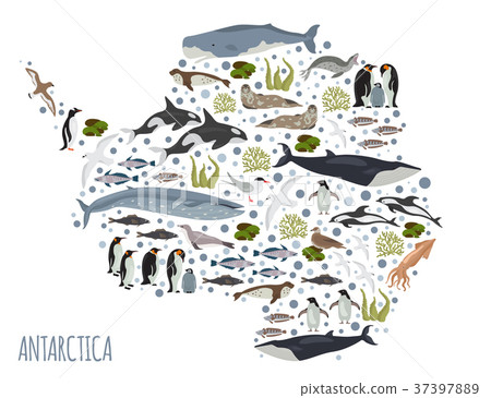 Antarctic, Antarctica, flora and fauna map Antarctic, Antarctica, flora and fauna map 37397889