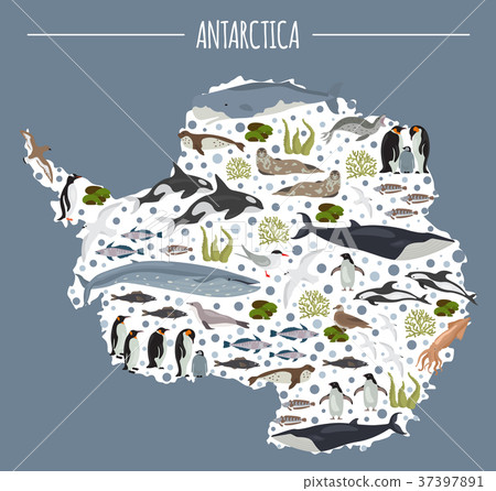 Antarctic, Antarctica,  flora and fauna map 37397891