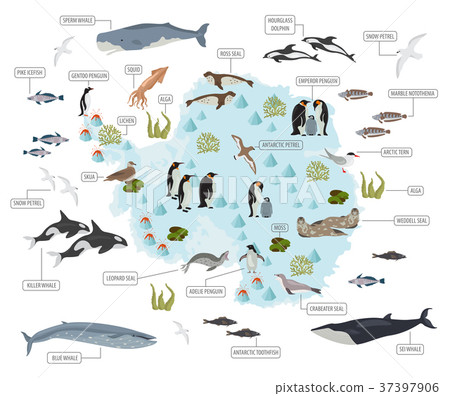 Antarctic, Antarctica, flora and fauna map Antarctic, Antarctica, flora and fauna map 37397906