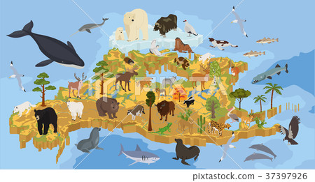 Isometric 3d North America flora and fauna map  37397926