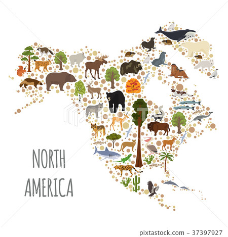 North America flora and fauna map, flat elements 37397927