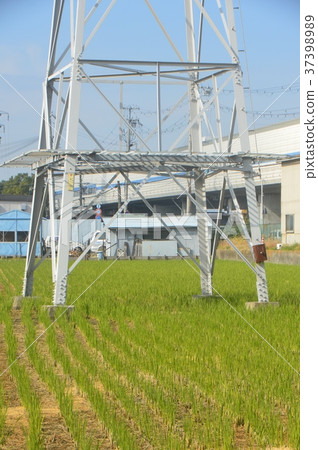 稻田鋼塔（兵庫縣尼崎市） 37398989