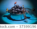 blueberry miner  workers 37399196