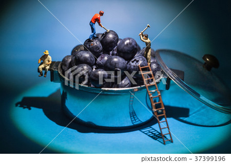 blueberry miner  workers 37399196