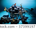 blueberry miner  workers 37399197