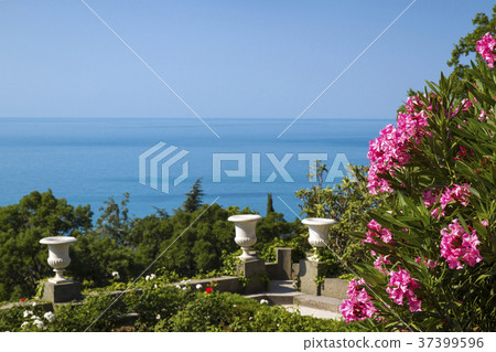 Park near the Vorontsov Palace 37399596