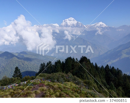 Dhaulagiri range from Poon Hill, Nepal Dhaulagiri range from Poon Hill, Nepal 37400851
