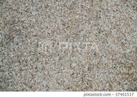 穀殼 日本 日式 37401517