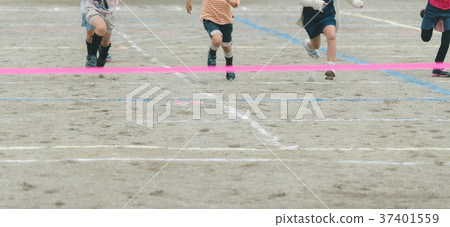 feet, paw, elementary student 37401559