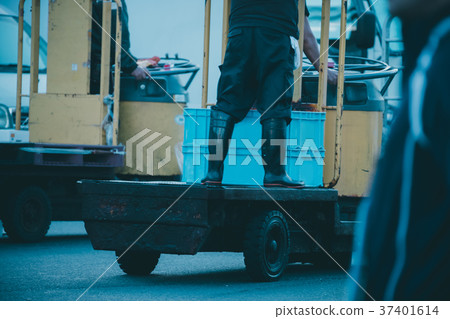 fish market, fish shop, market 37401614