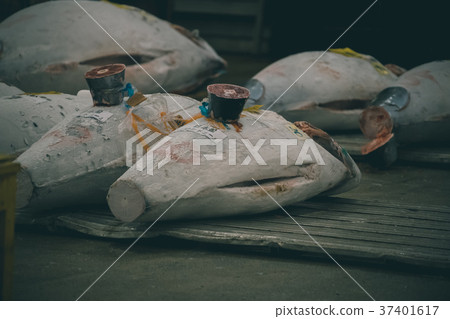 fish market, tuna, market 37401617