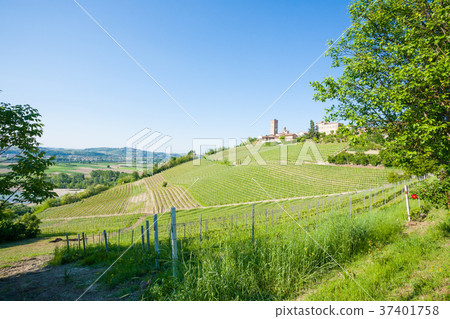 Barbaresco town view, Langhe, Italy 37401758