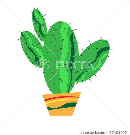 Isolated cactus icon 37401995