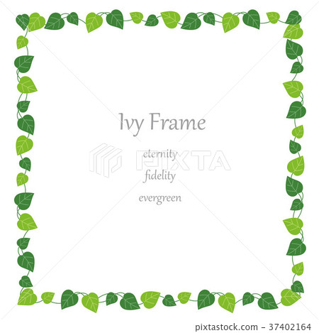 Ivy square frame 37402164