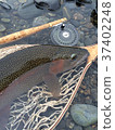 Beautiful Rainbow 37402248