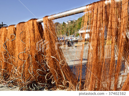 Fishing net Fishing net 37402382