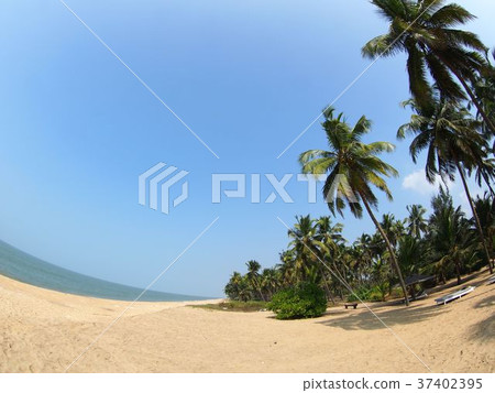 喀拉拉邦海灘 喀拉拉邦海灘 37402395