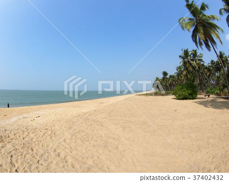 喀拉拉邦海灘 喀拉拉邦海灘 37402432