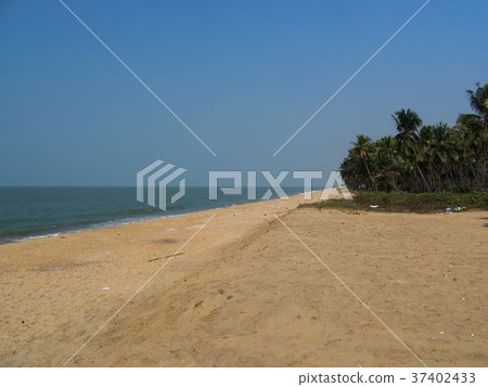 Kerala beach 37402433