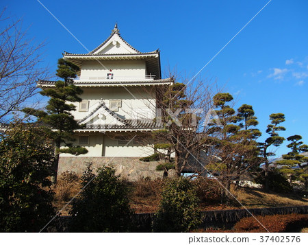 Kinishi castle 37402576