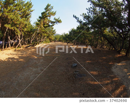 前防禦基地 37402698