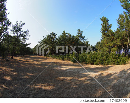 Former defense base Former defense base 37402699