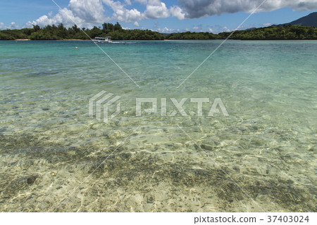 Kawahira Bay (Ishigakijima) 37403024