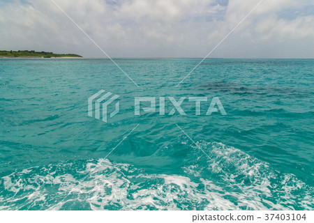 Scenery of Kuroshima (Taketomi-cho, Okinawa Prefecture) Scenery of Kuroshima (Taketomi-cho, Okinawa Prefecture) 37403104