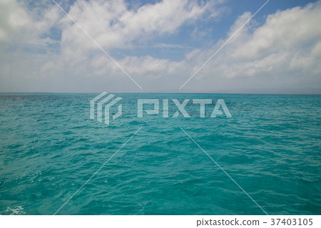 Scenery of Kuroshima (Taketomi-cho, Okinawa Prefecture) Scenery of Kuroshima (Taketomi-cho, Okinawa Prefecture) 37403105