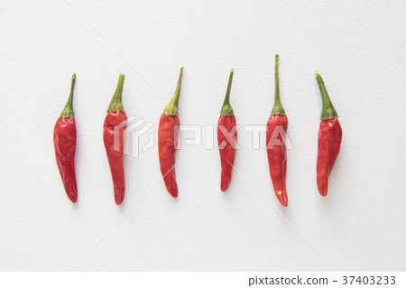 紅辣椒 紅辣椒 37403233