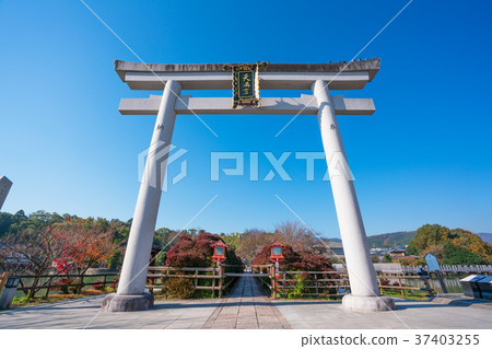 Torii of Nagaoka Tenmangu 37403255
