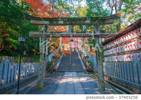Autumn leaves of Nagaoka Tenmangu 37403256