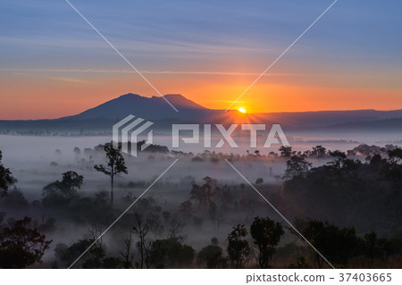 Morning fog in the mountain. Morning fog in the mountain. 37403665