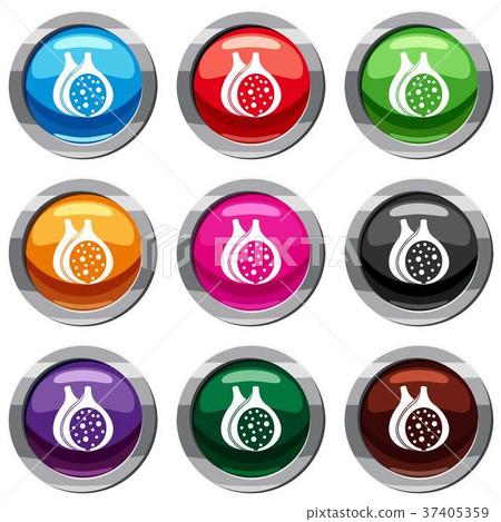 Fig fruit set 9 collection 37405359