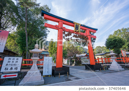 京都鬆尾泰莎 37405646