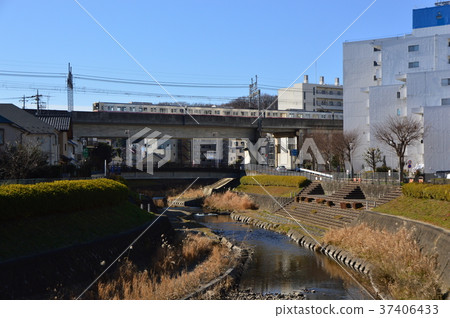 The late fall of the Yudonokawa Hachioji city 37406433