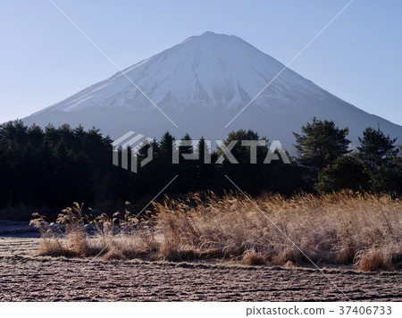 Fuji from Narusawa Village 37406733