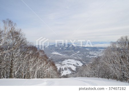 長野縣Shinanomachi冬季 37407282