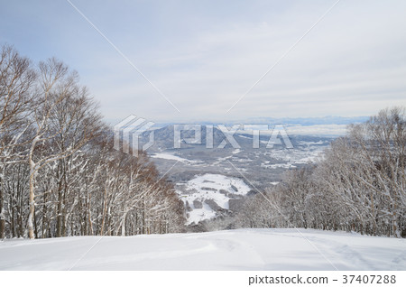 長野縣Shinanomachi冬季 37407288