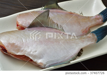 Uma Tsuruhagi Uma Tsuruhagi 37407726