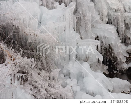 Ice pillar of ragwood Ice pillar of ragwood 37408298