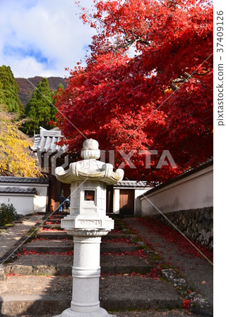 清水寺正殿入口 清水寺正殿入口 37409126