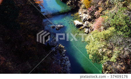 飛River河 37409176