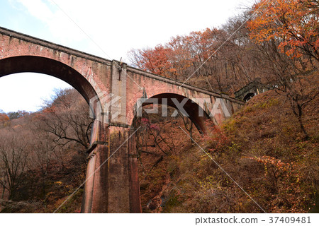 秋葉的眼鏡橋#16 秋葉的眼鏡橋#16 37409481