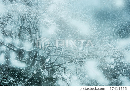 雪場面冬天圖像 37411533