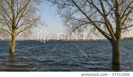 IJssel Flood Giesbeek 37412006